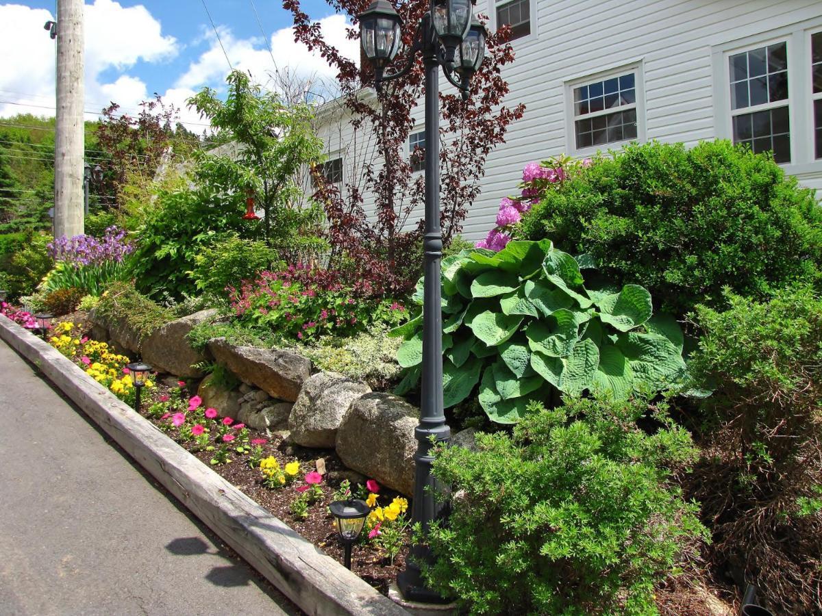 Larinda'S Landing Oceanfront Cottages Halifax Eksteriør billede